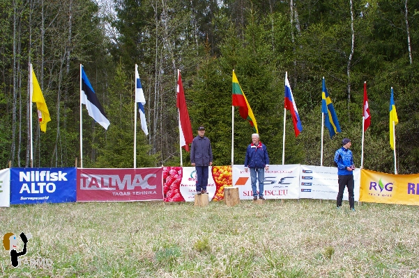 Ilves-3 2014 P�idla