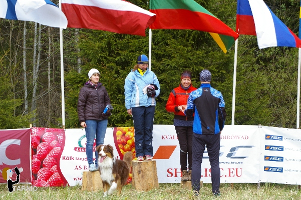 Ilves-3 2014 P�idla