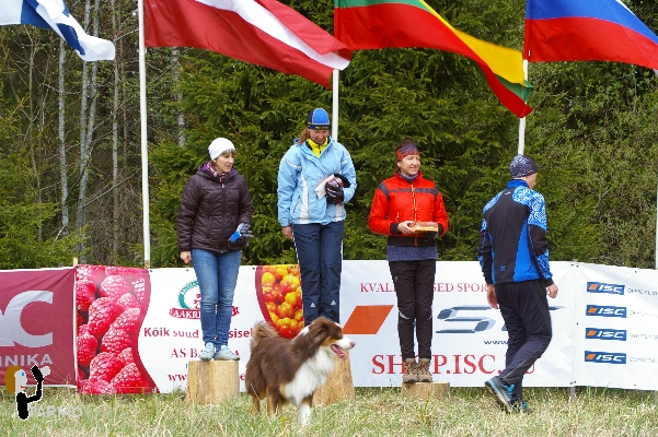 Ilves-3 2014 P�idla